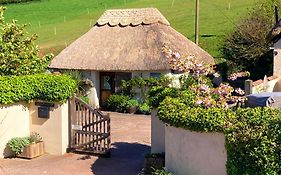 The Nest - Thatched Seaside Country Cottage For Two